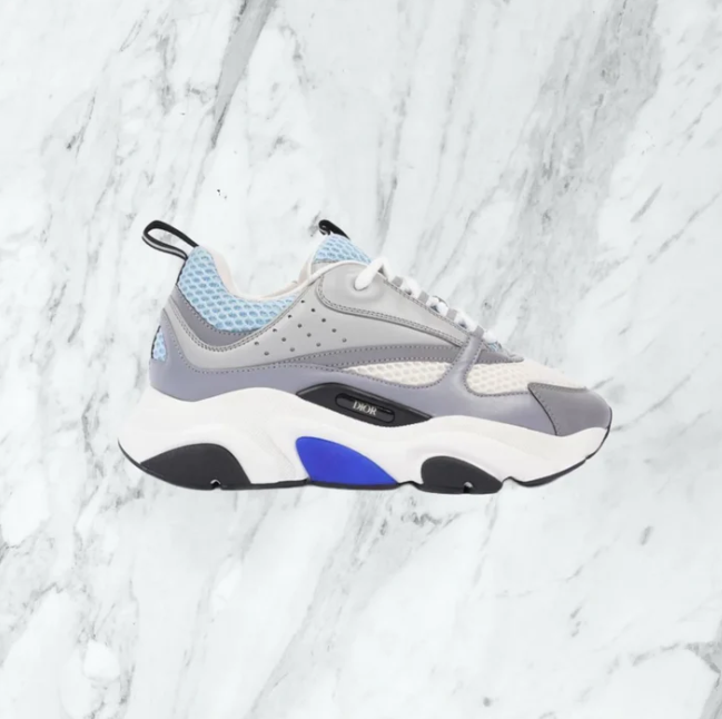 Chaussure Dior B22