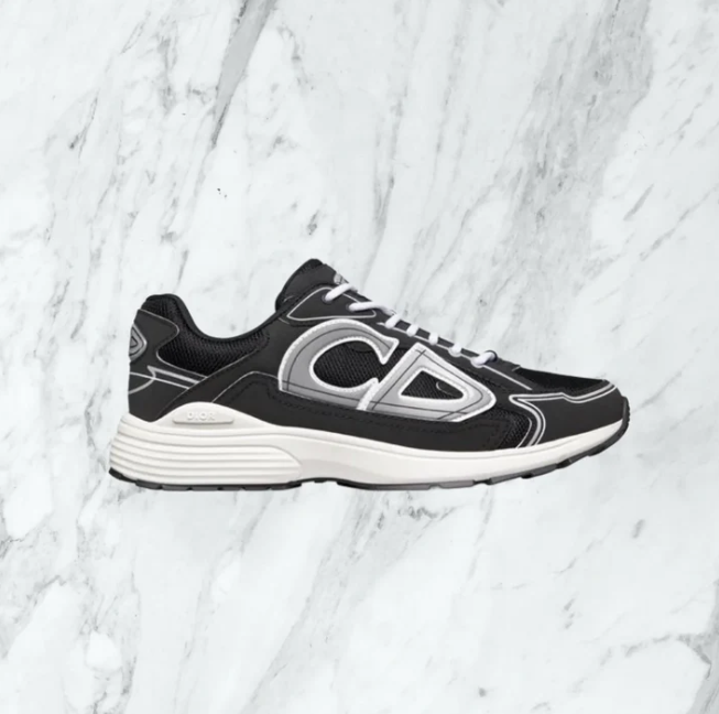 Chaussure CD Dior B30