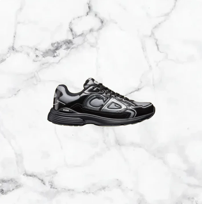 Chaussure CD Dior B30