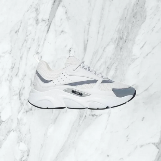 Chaussure Dior B22
